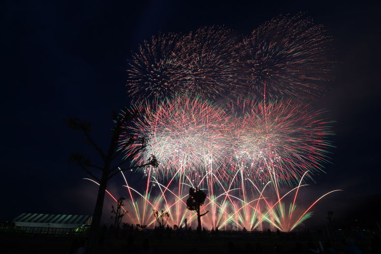 Firework display at night