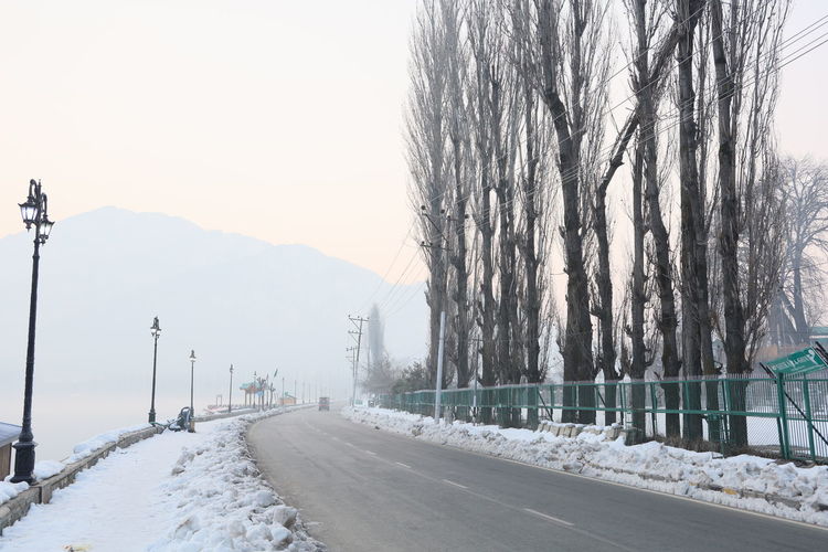 Snow covered road by trees against sky, srinagar kashmir 