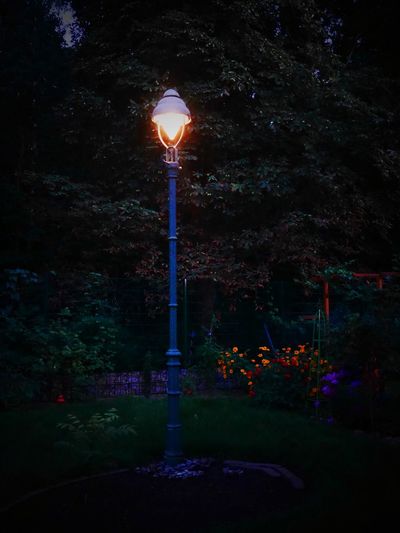 Illuminated street light in park at night