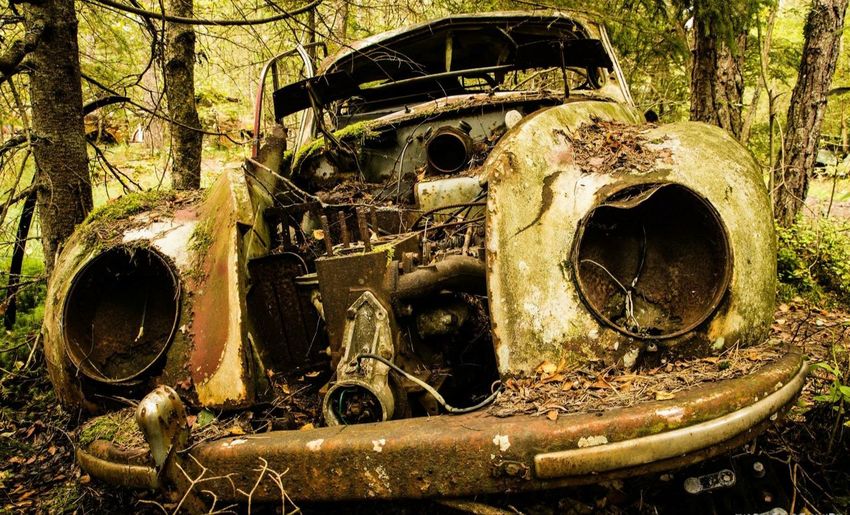 Old abandoned truck on tree in forest