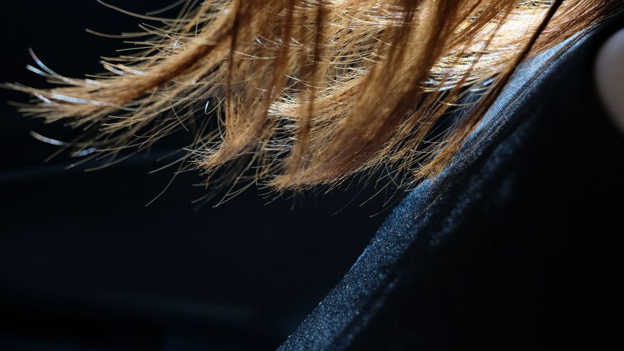 Close up of human hair