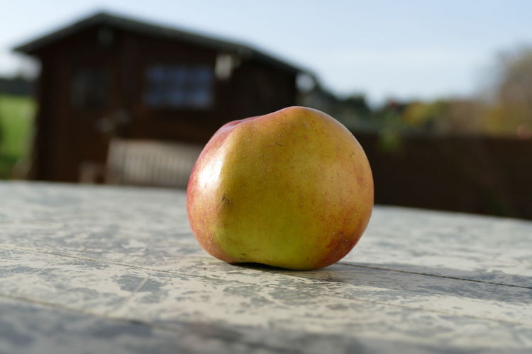 Close-up of apple on tree outside house