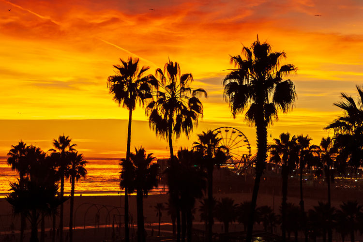 Silhouette palm trees on beach against sky during sunset