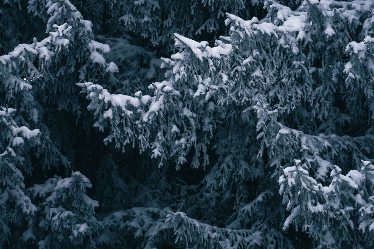 Full frame shot of snow