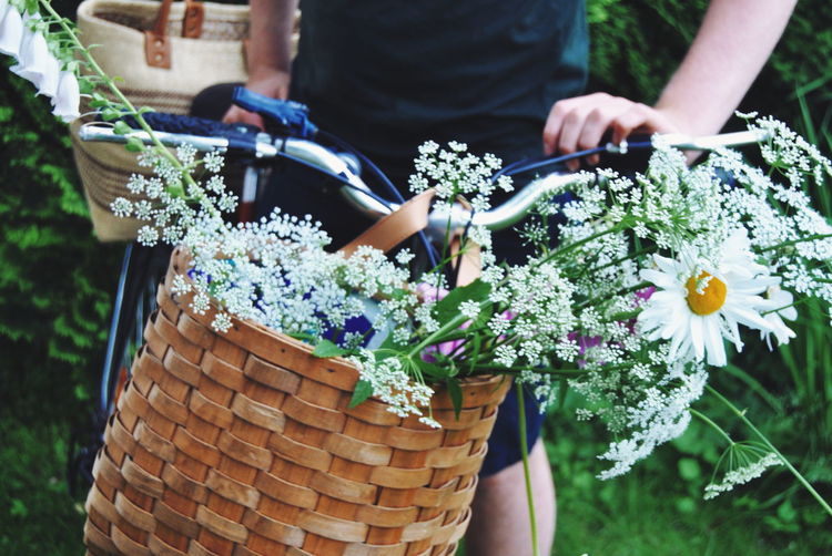 Midsection of woman holding bicycle with flowers in basket