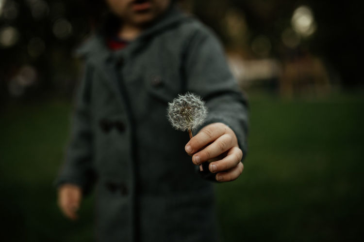 Child holding a dandelion