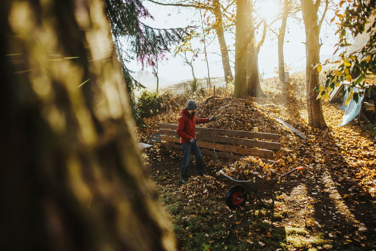 High angle view of man working in park