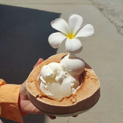 Cropped hand holding coconut with ice cream and flower on sunny day