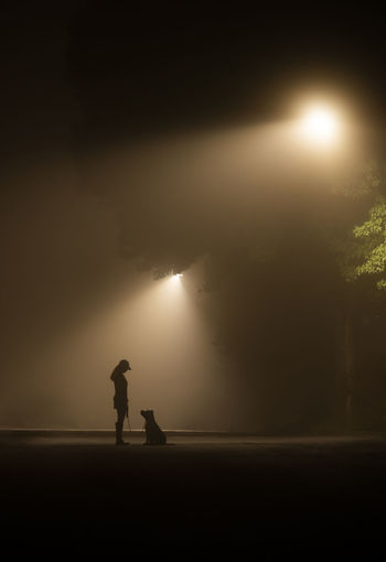 Girl and dog sitting in foggy lamplit street