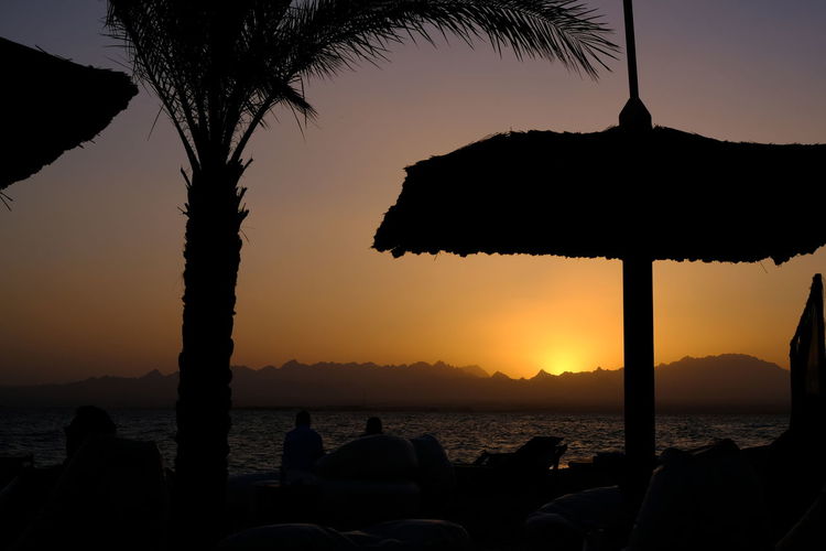Silhouette tree by sea against sky during sunset