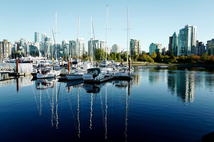 Sailboats in marina