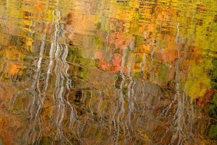 Full frame shot of yellow rock