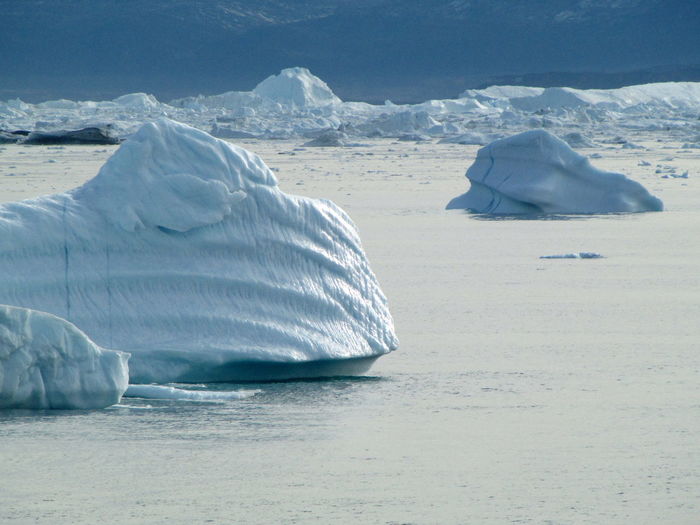 Floating iceberg greenland