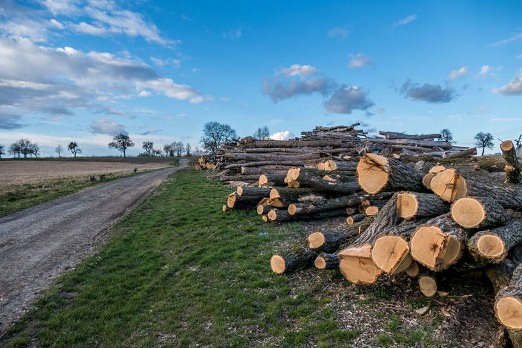 Stack of logs on field against sky