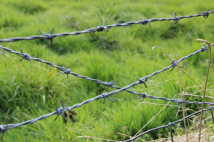 Close-up of barbed wire fence on field