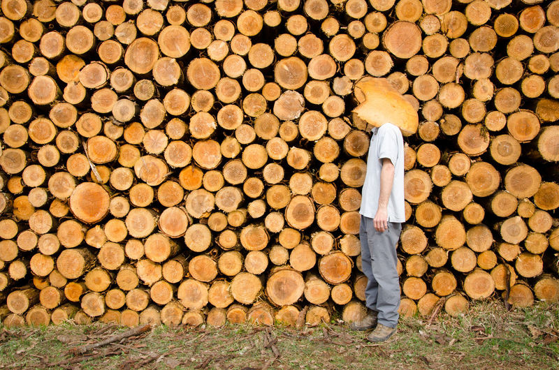 Side view of man standing against log stacks