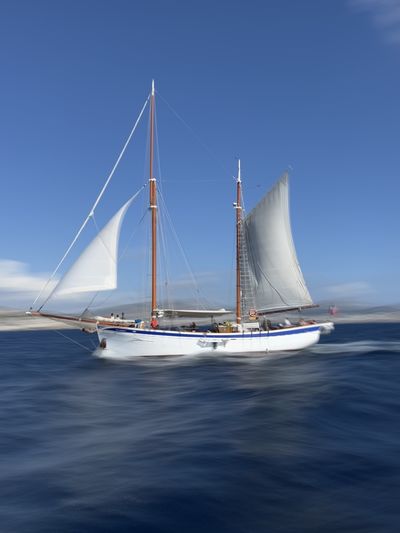 Sailboat sailing on sea against clear blue sky