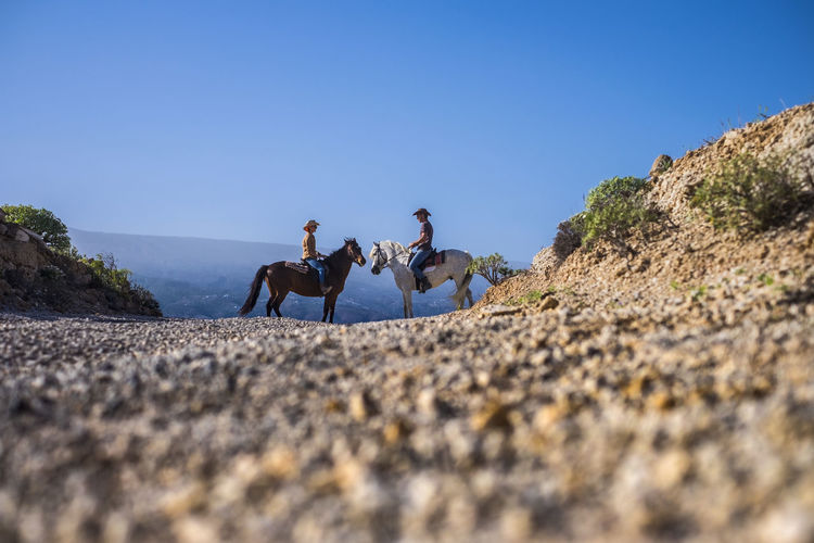 People riding horses on mountain road against sky