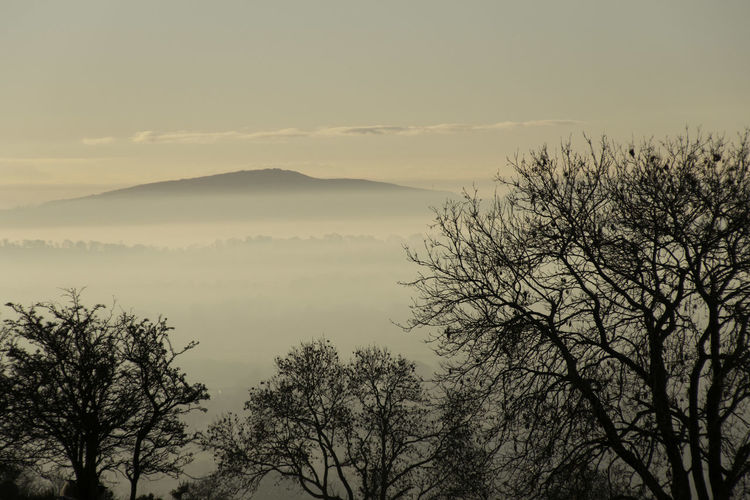 Silhouetted trees in foreground with mountain in the distance beyond a mist covered lowland plain