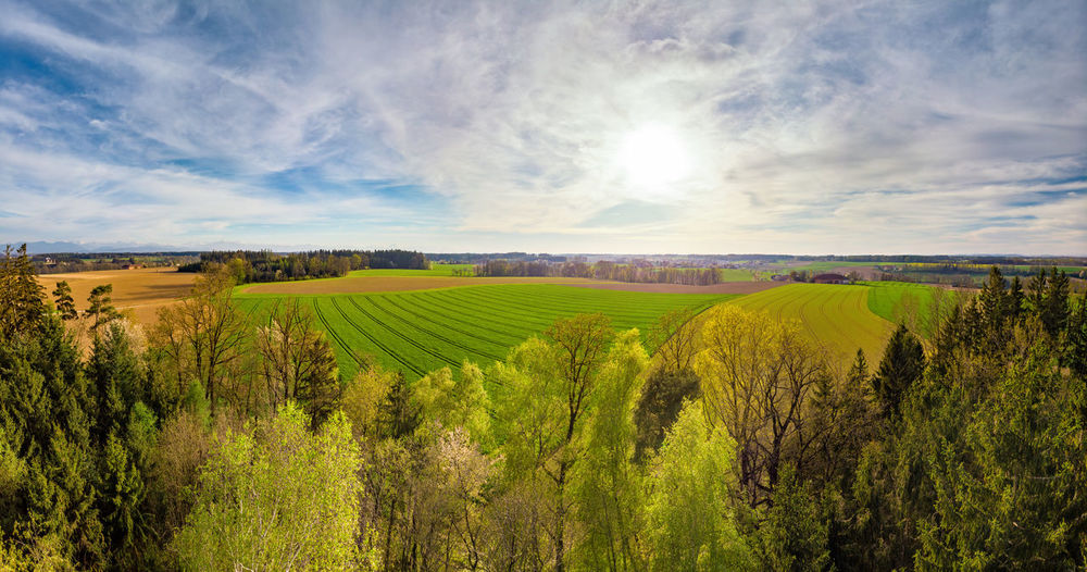 Scenic view of agricultural field against sky