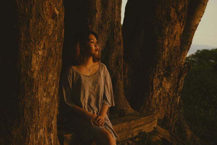 Young woman looking away while sitting on tree trunk