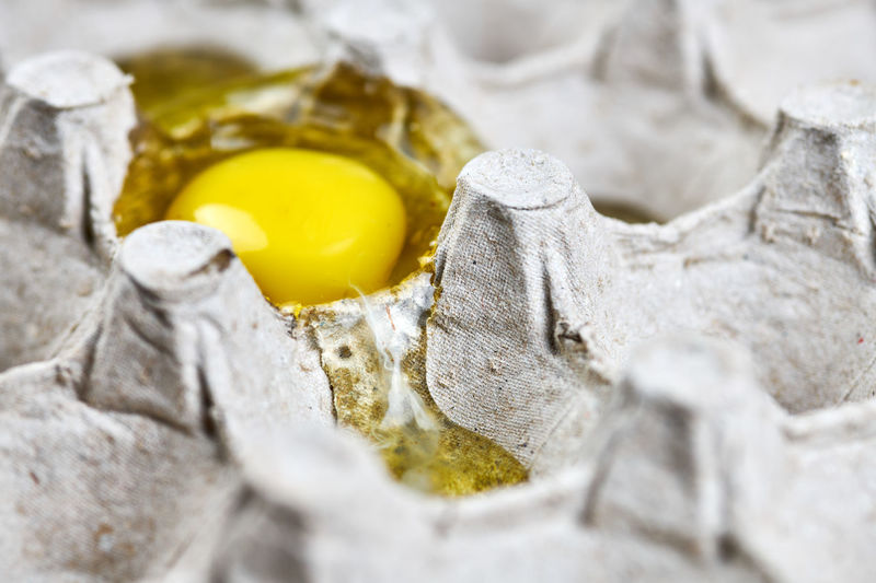 Broken egg in paper egg tray. yolk and white of easter cracked chicken egg. delivery damage concept