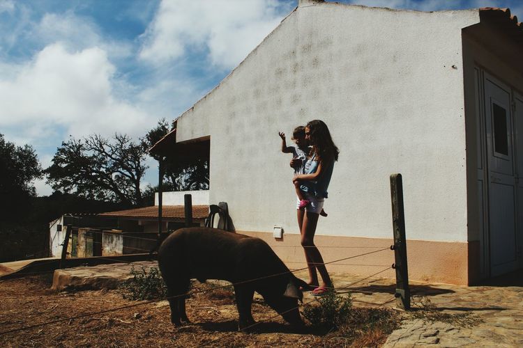 Young woman with daughter standing by pig on field