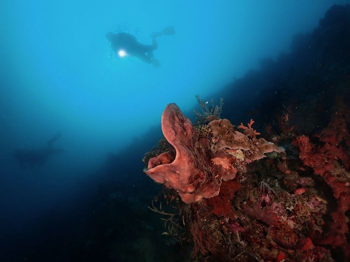 Explore new dive site