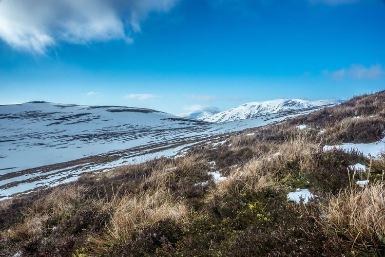 Scenic view of landscape against sky during winter