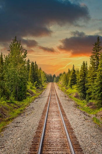 Railroad track in the wilderness of alaska