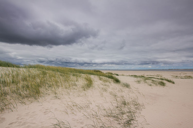 Scenic view of beach against sky