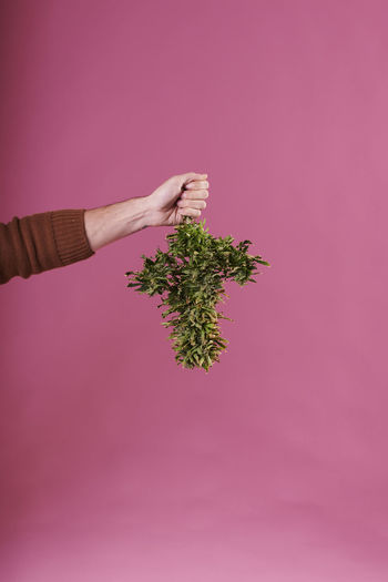 Low section of woman holding plant