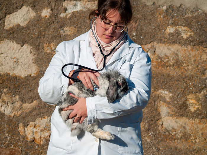 Doctor examining rabbit with stethoscope