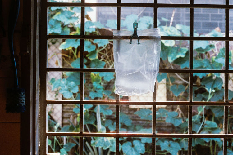 glass