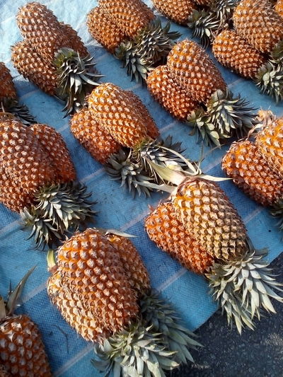 High angle view of pineapple in market