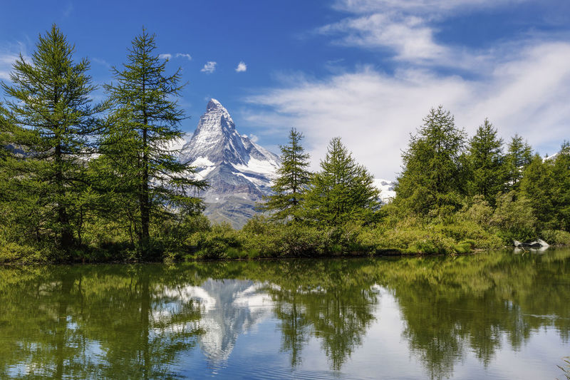 Scenic view of lake by trees against sky