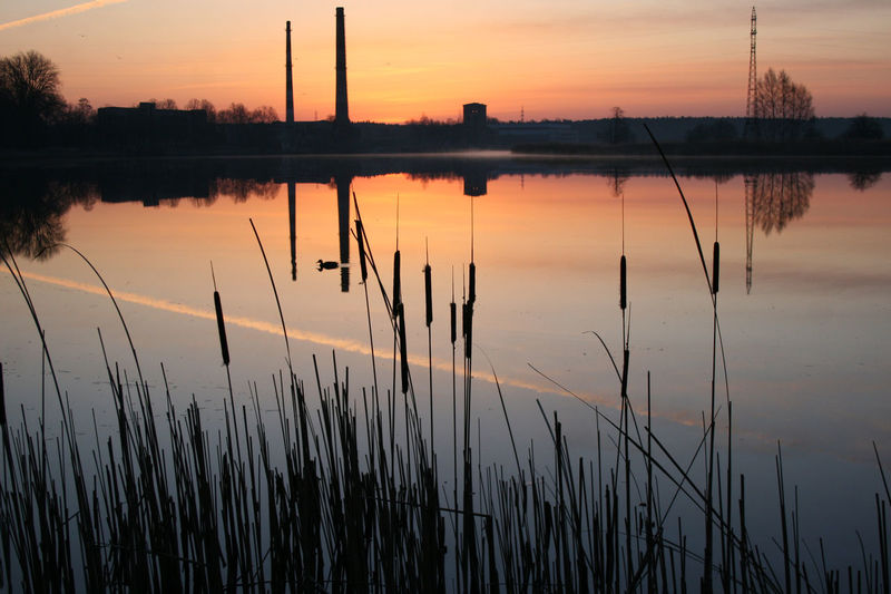 Scenic view of reed against calm river at dawn