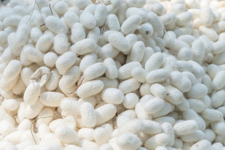 Full frame shot of cottons