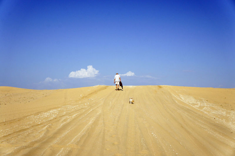 Rear view of man walking with dog in desert against sky