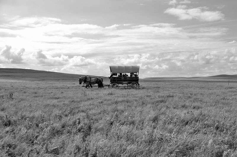 Covered wagon traversing the prairie of kansas