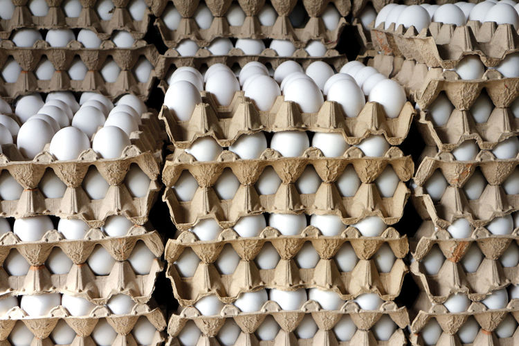 Photo of stacks of fresh eggs in egg trays