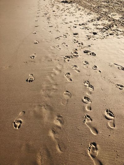 High angle view of footprints on wet sand