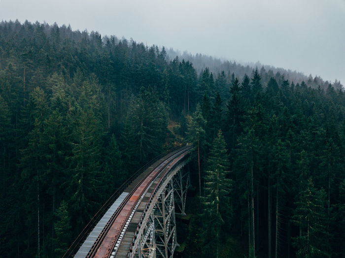 High angle view of trees in forest against sky
