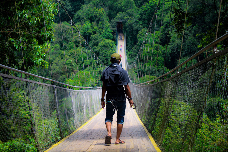 Rear view of man walking on footbridge in forest