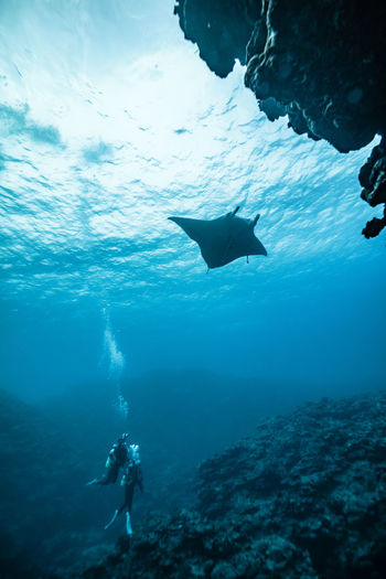 View of scuba diver in sea