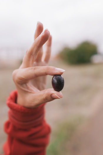 Cropped hand holding black olive outdoors