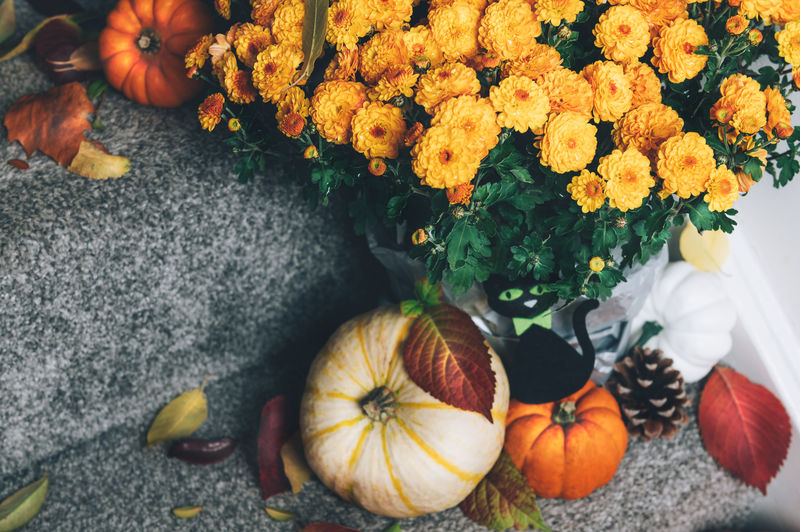 Pumpkins and decorations on stairs indoor. new normal or halloween pandemic at home concept. 