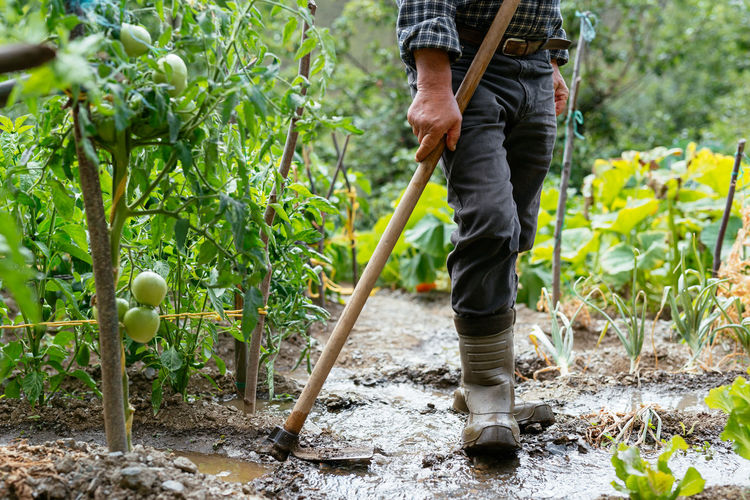 Cropped unrecognizable man in checkered shirt and straw hat hoeing wet dirt near green plants after rain on summer day on farm