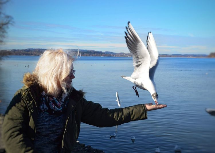 Side view of woman with seagulls in sea