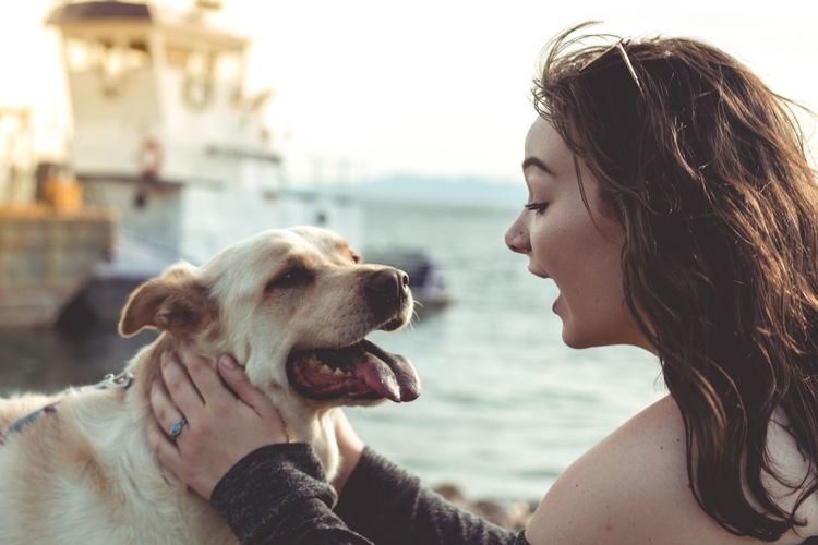 Side view of smiling young woman holding dog at beach